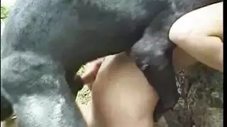 شهوة الحيوان: كلب كبير يمارس الجنس مع بنات بوحشية